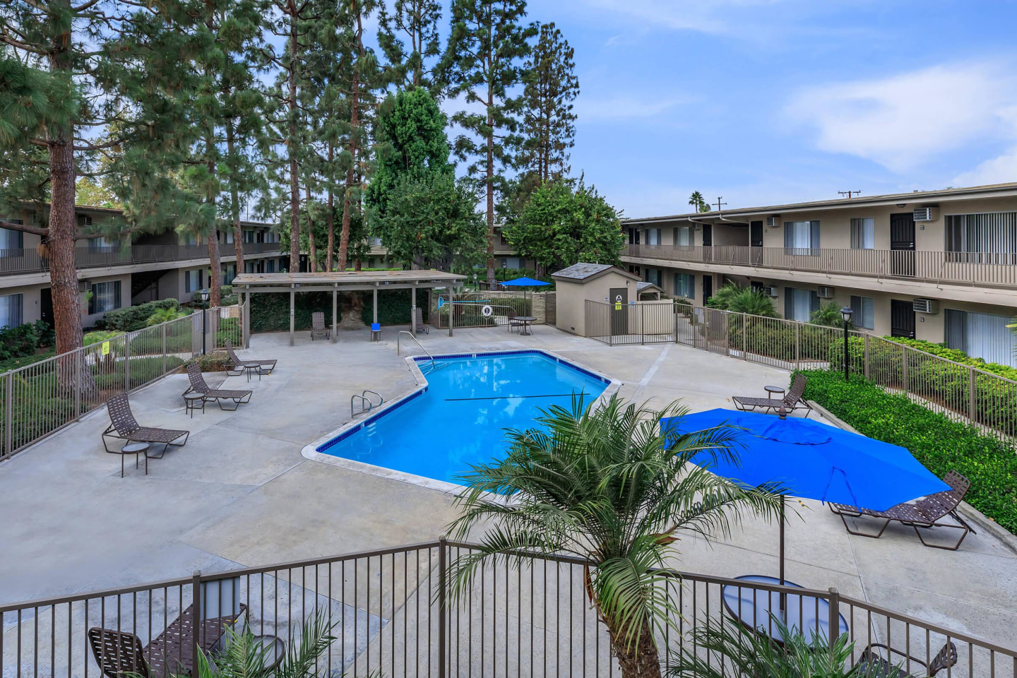 Saddleback Pines Image 12