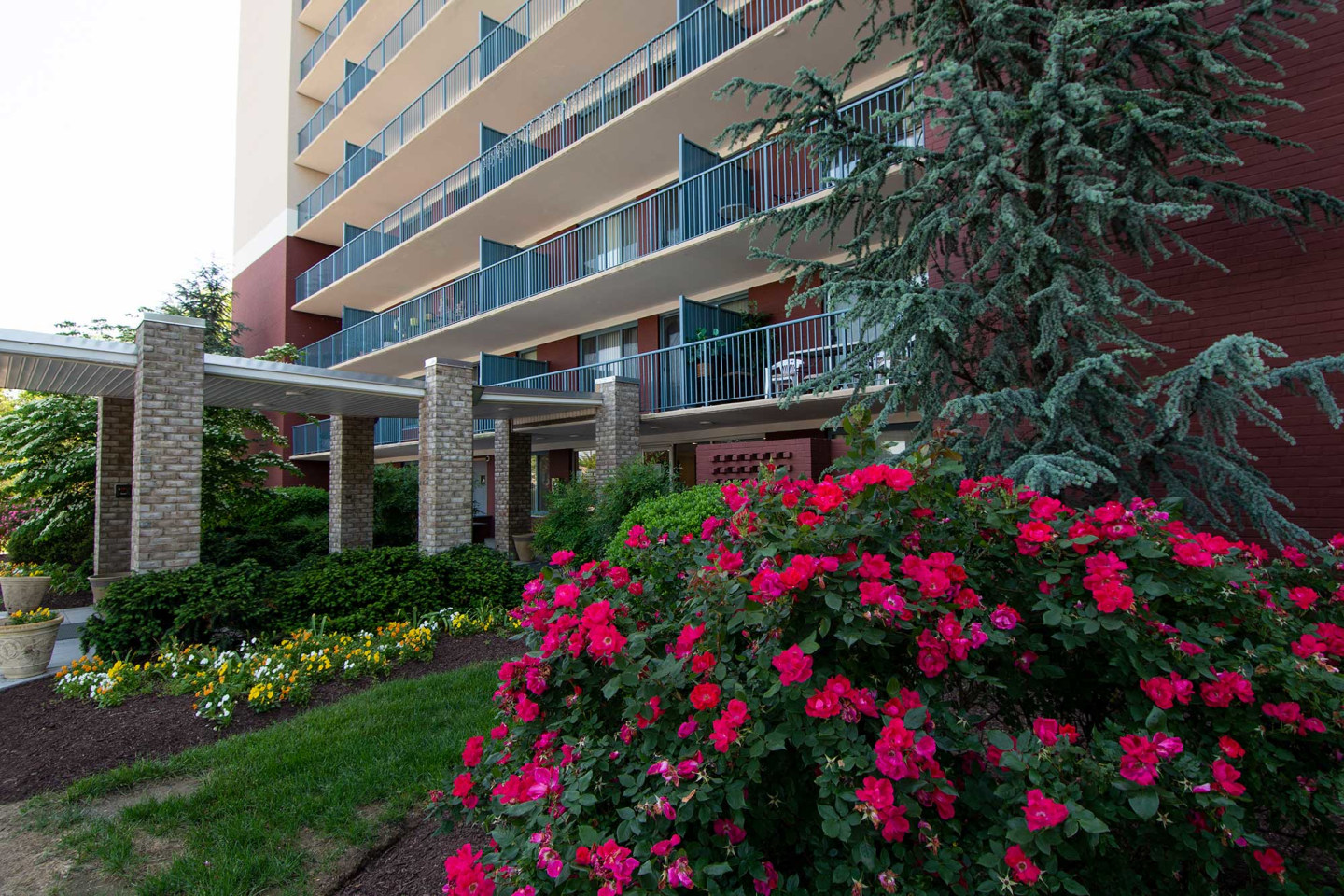 Steward Tower Apartments Image 15