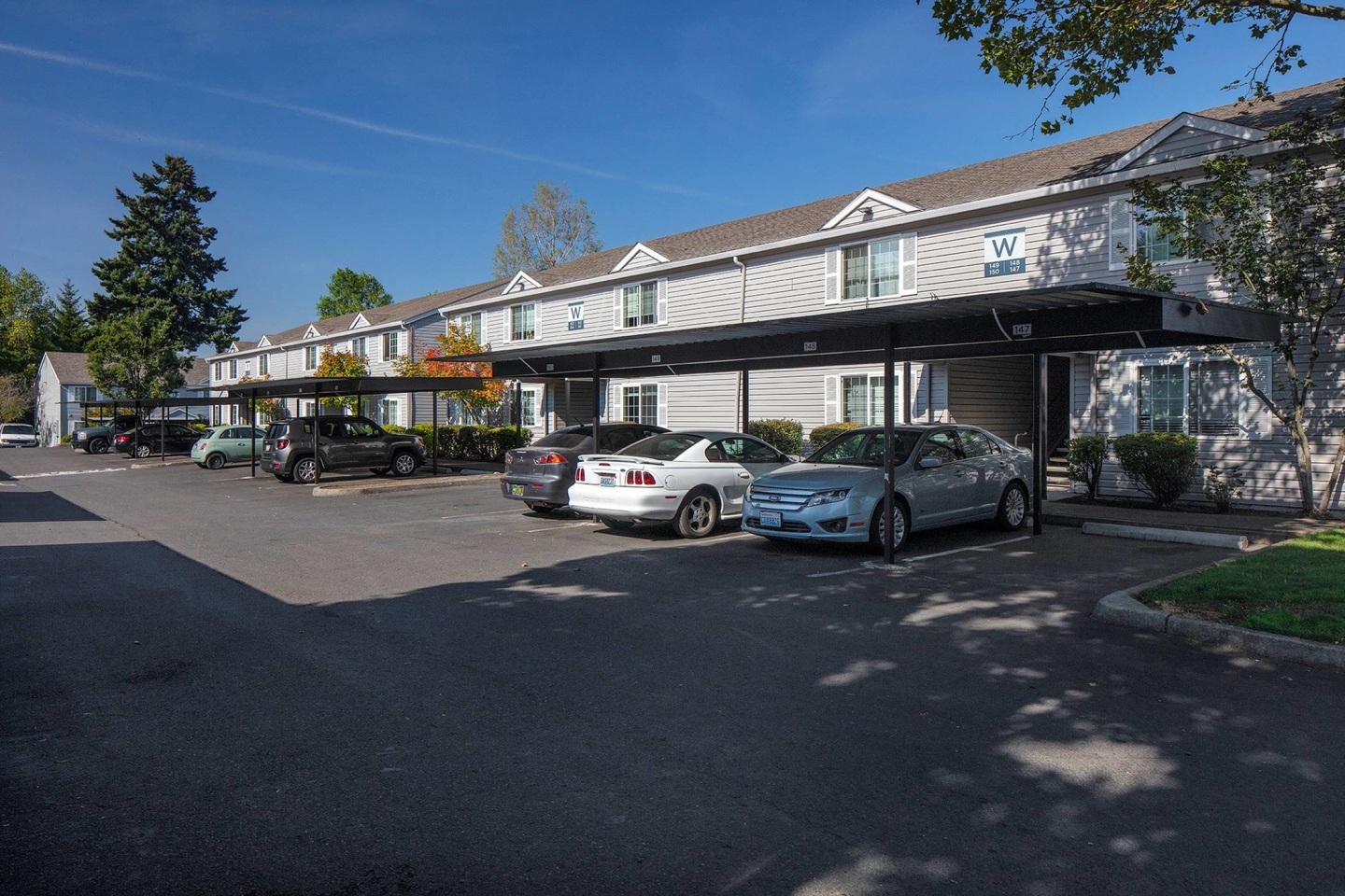 Avana Evergreen Image 59