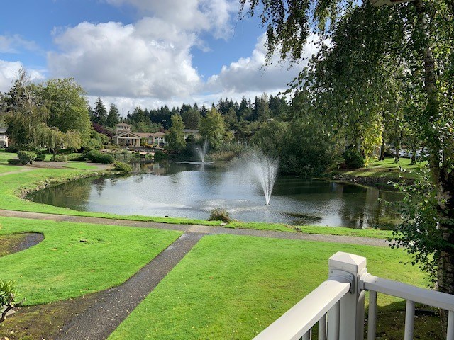 Lakeside Image 15
