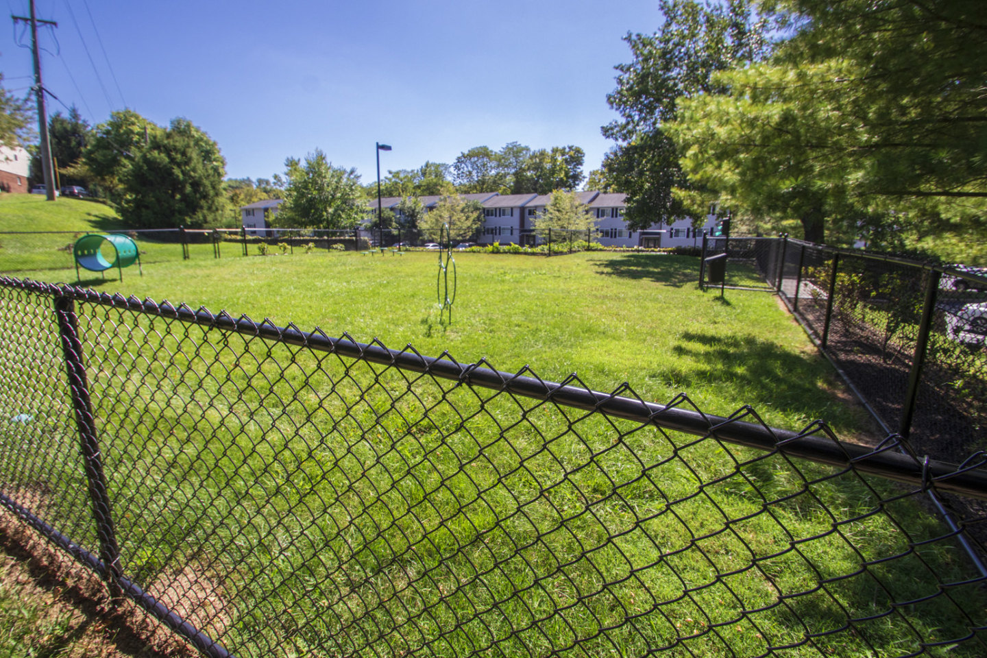 Deer Hill Image 8