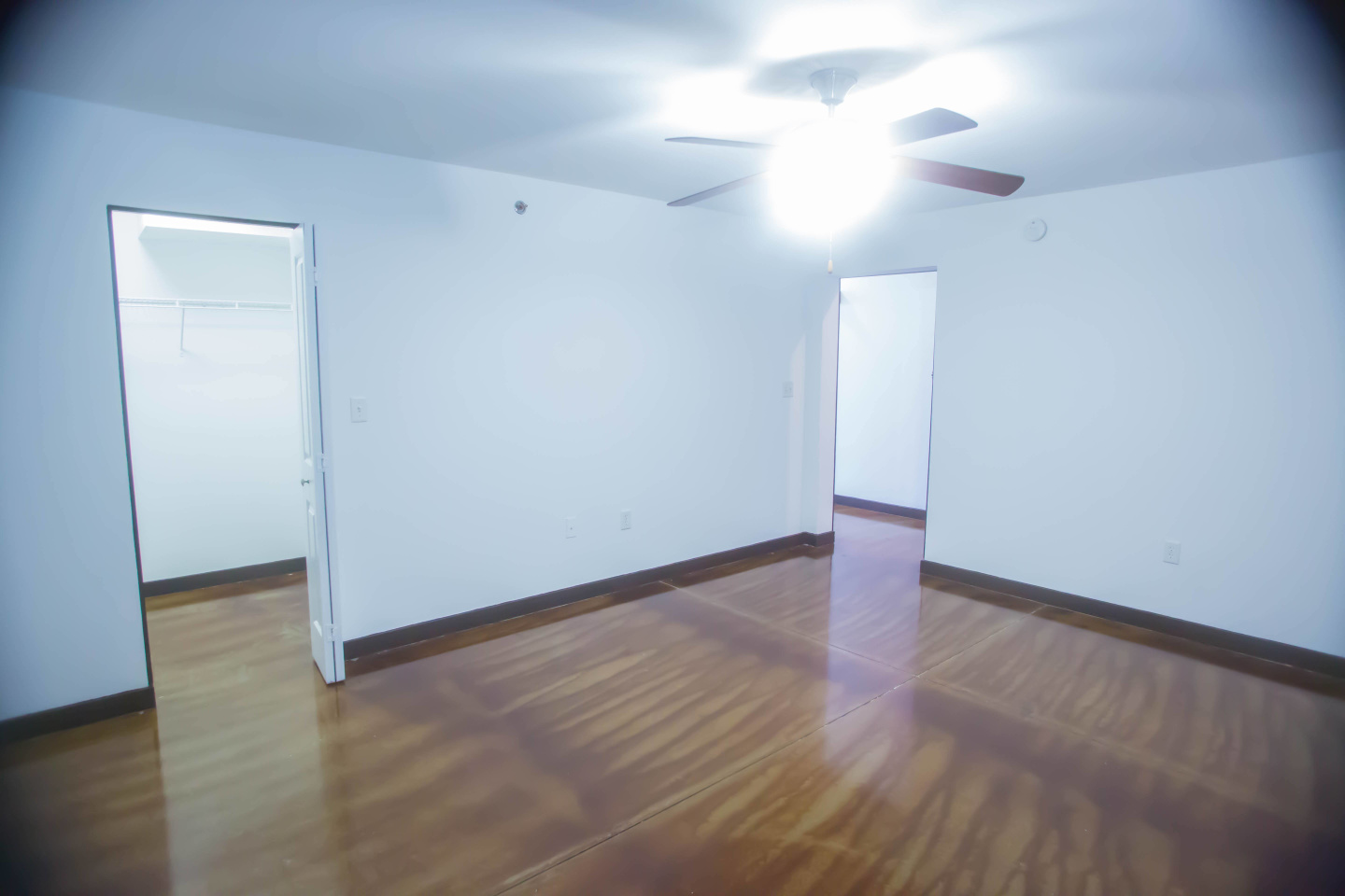 Mayfair Lofts Image 4