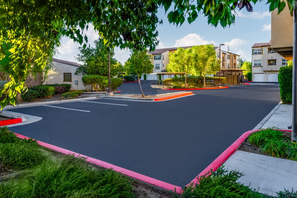 Paseos At Magnolia Luxury Apartment Homes Image 4