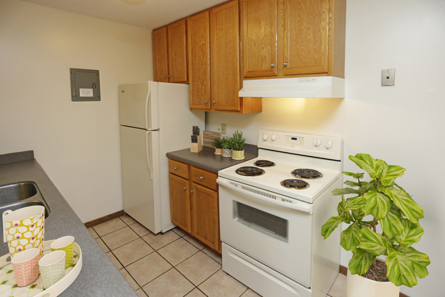 Plymouth Pointe Image 12