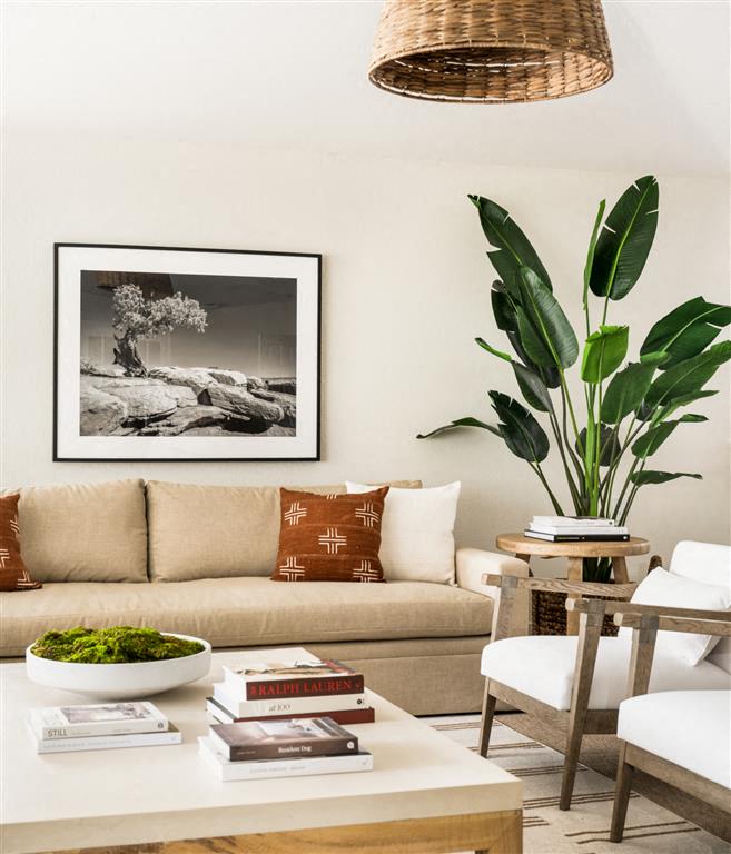Terra Vida Apartments Image 29