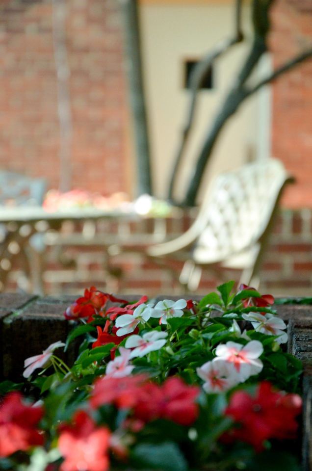 Manor House Apartments Image 26