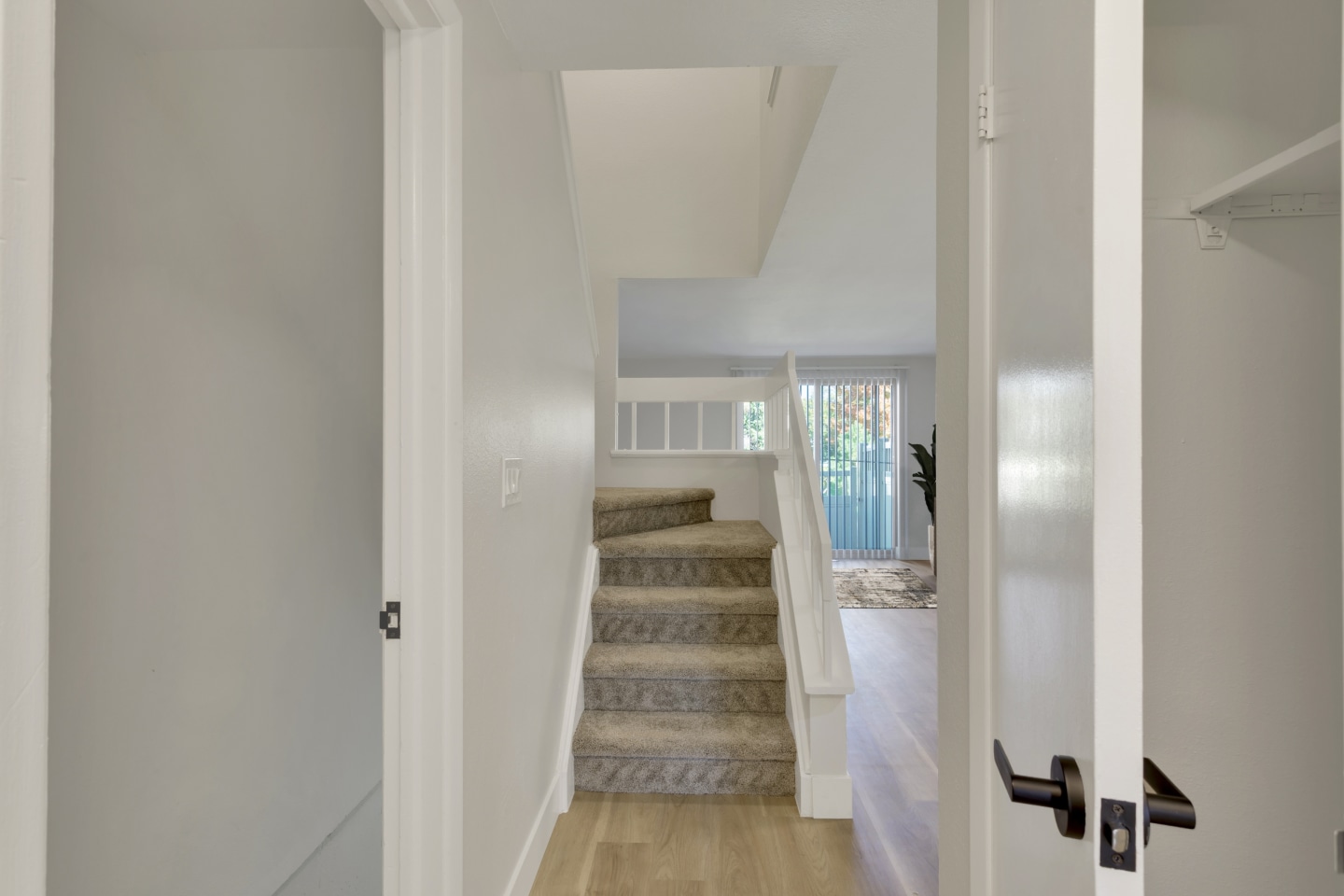 Elowyn Townhomes Image 10