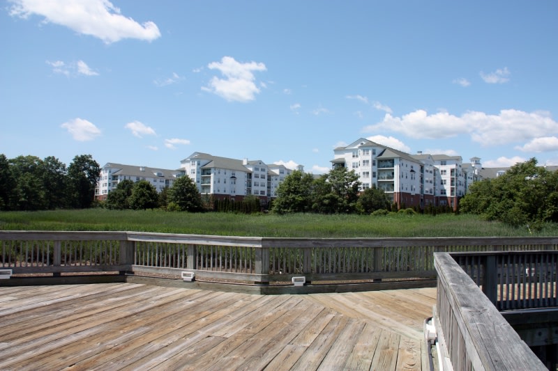 Avalon on Stamford Harbor Image 11