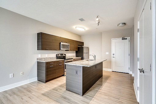 ICON Residences at the Rotunda Image 8