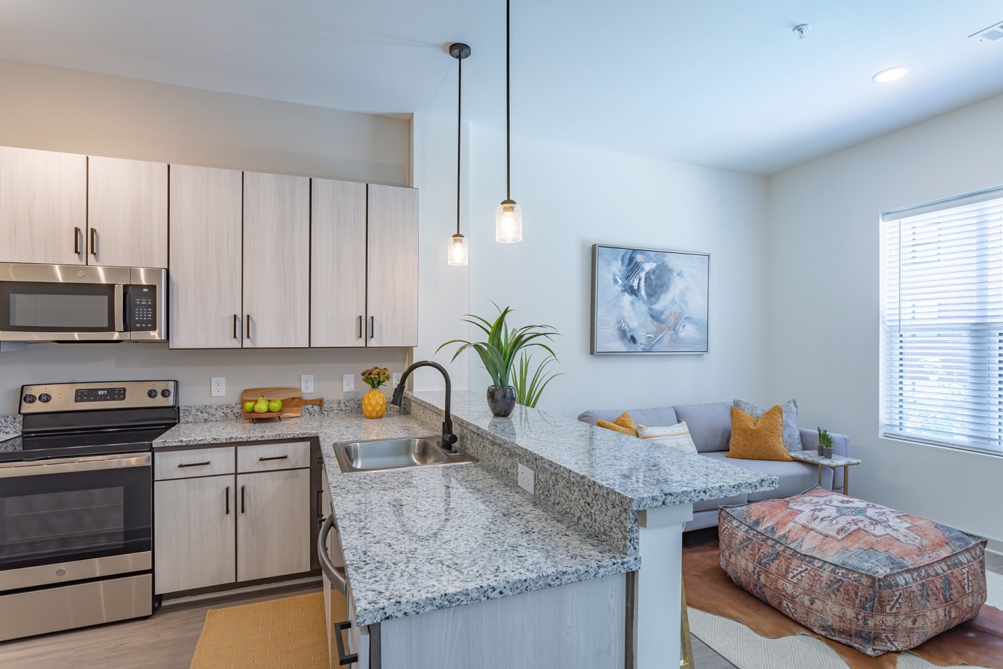 6228 Music City Apartments Image 4