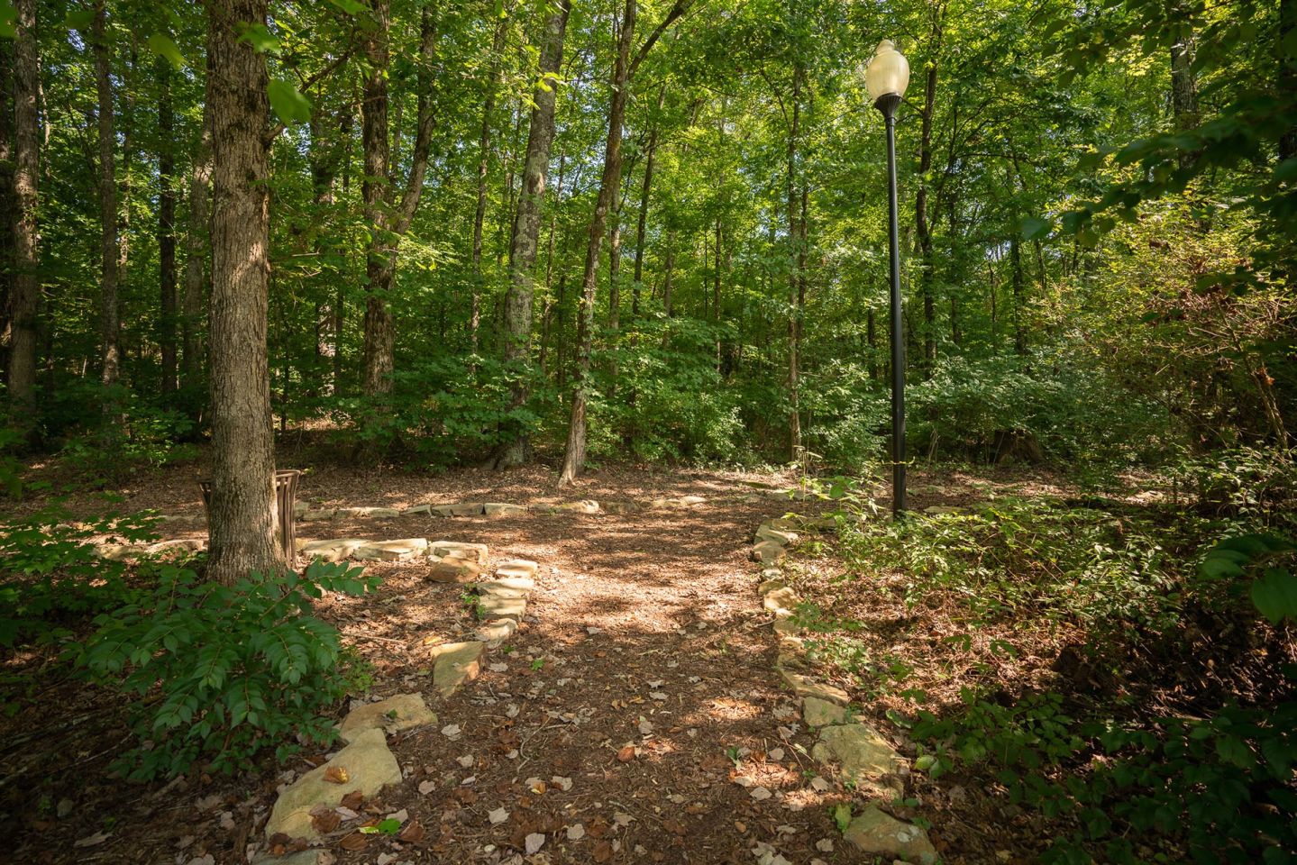 Vintage Creekwood Park Apartments Image 10