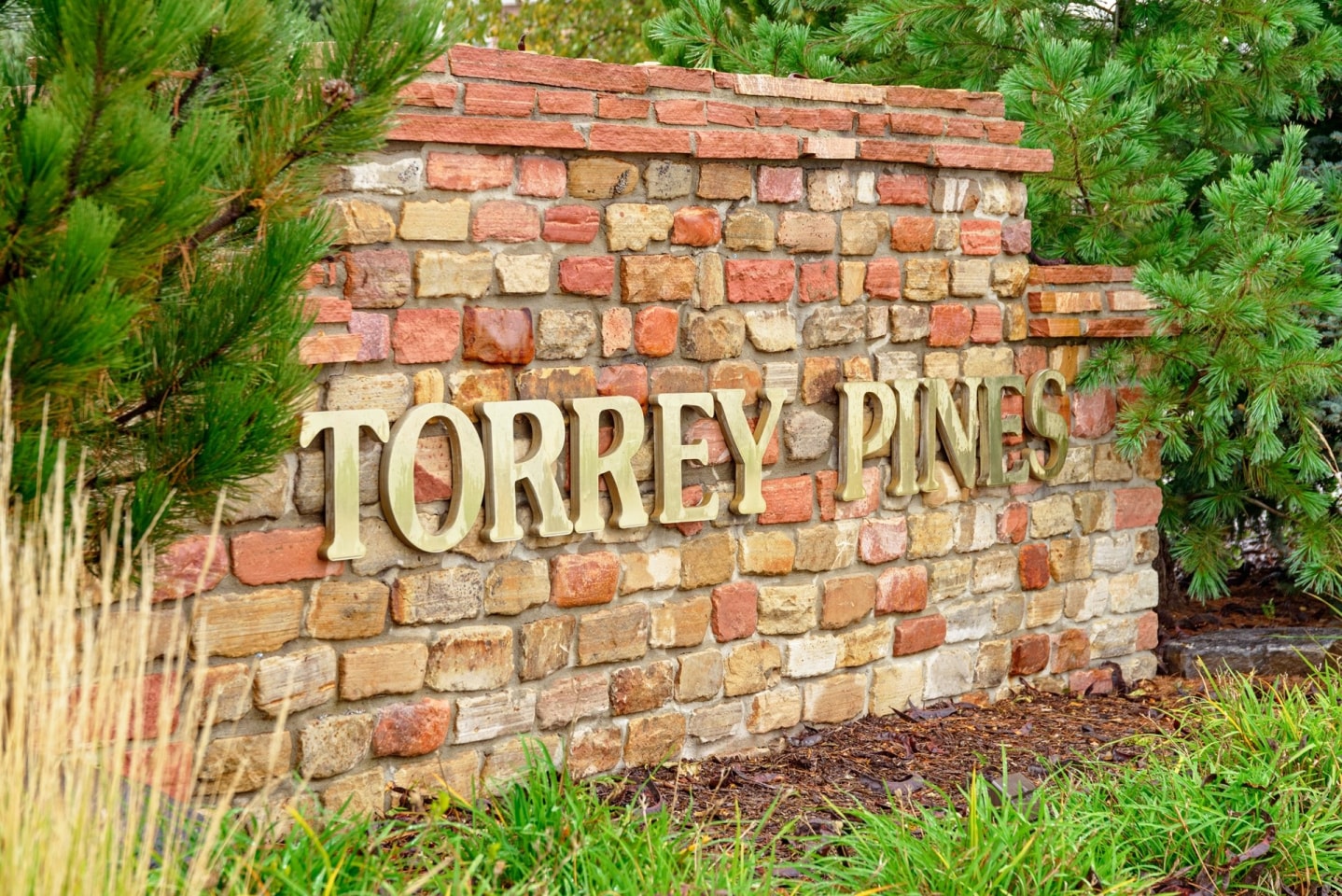 Torrey Pines Image 25