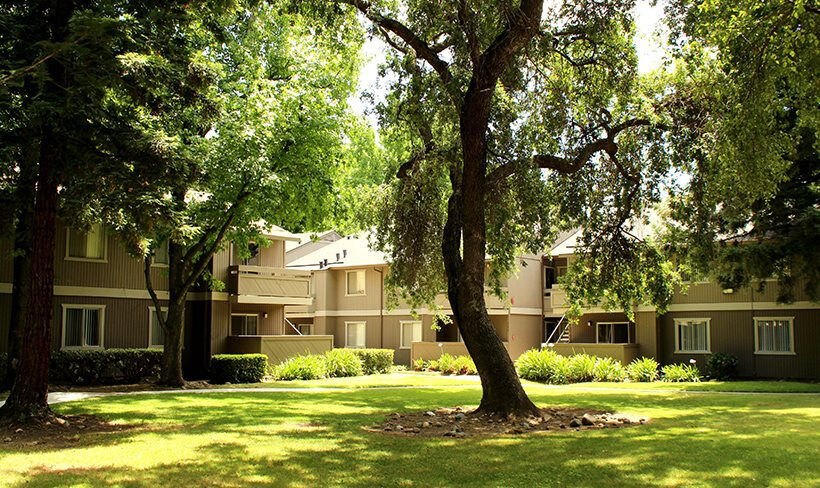 Shasta Terrace Image 4