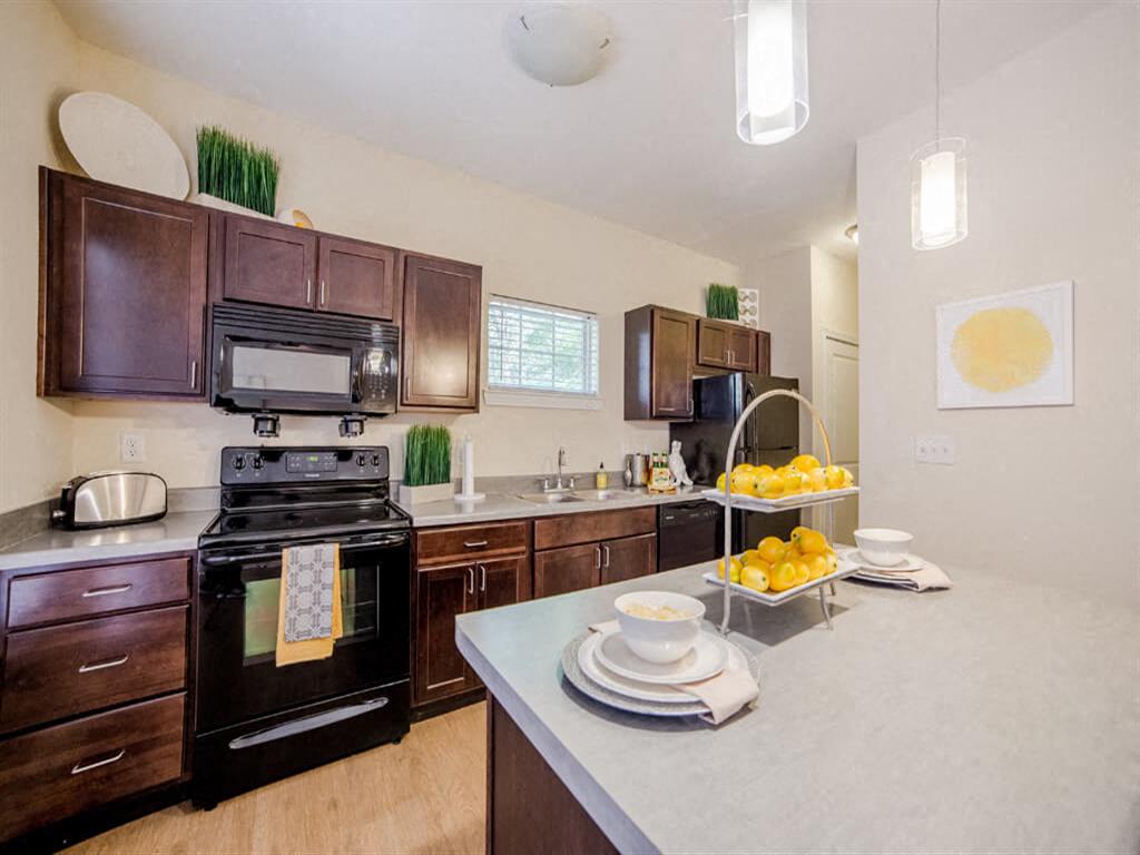 Monon Living Image 36