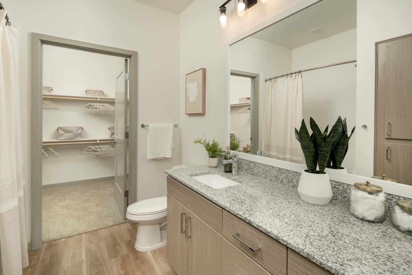 Livano Avondale Image 7