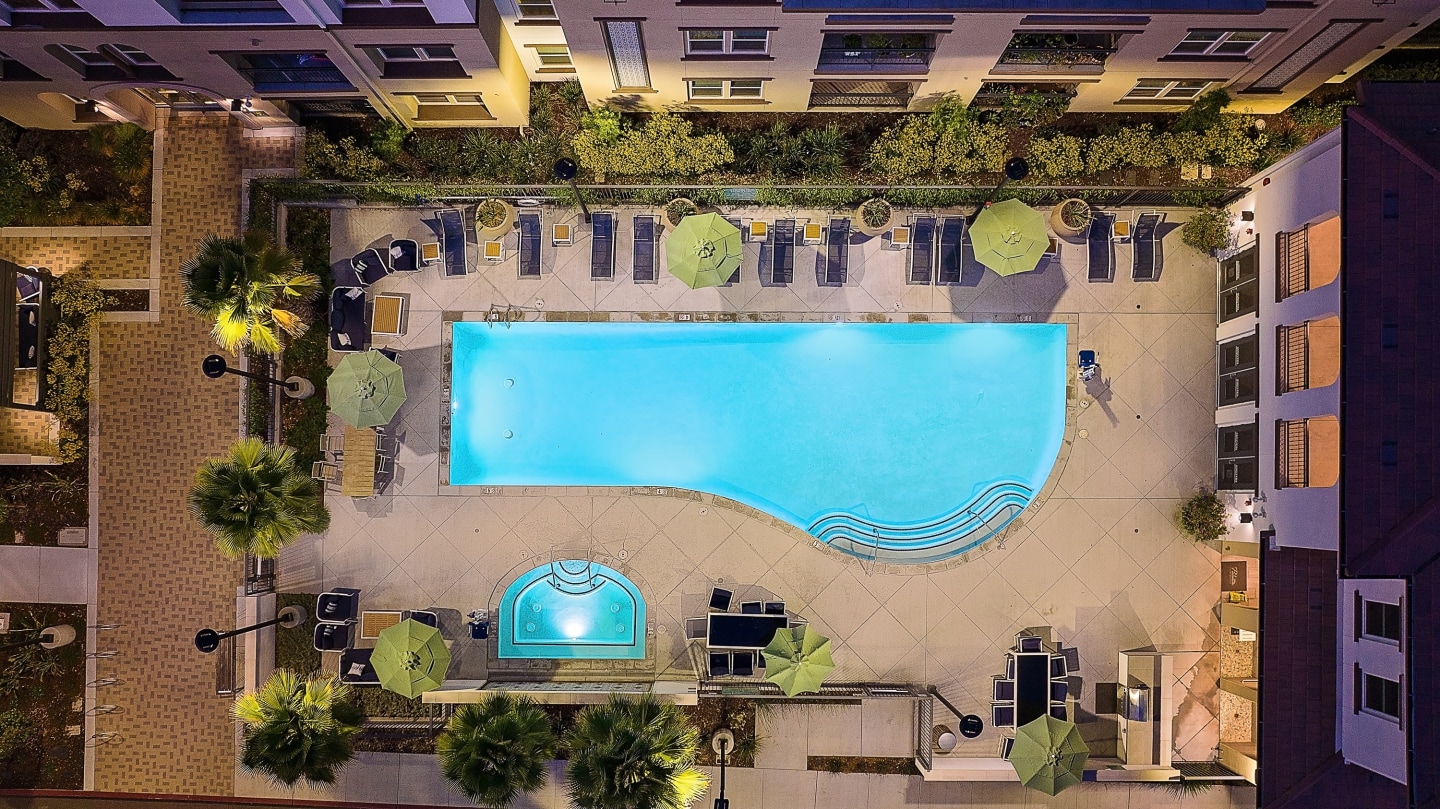 Senior Housing- Palmia, Age 55+ Luxury Apartments Image 4