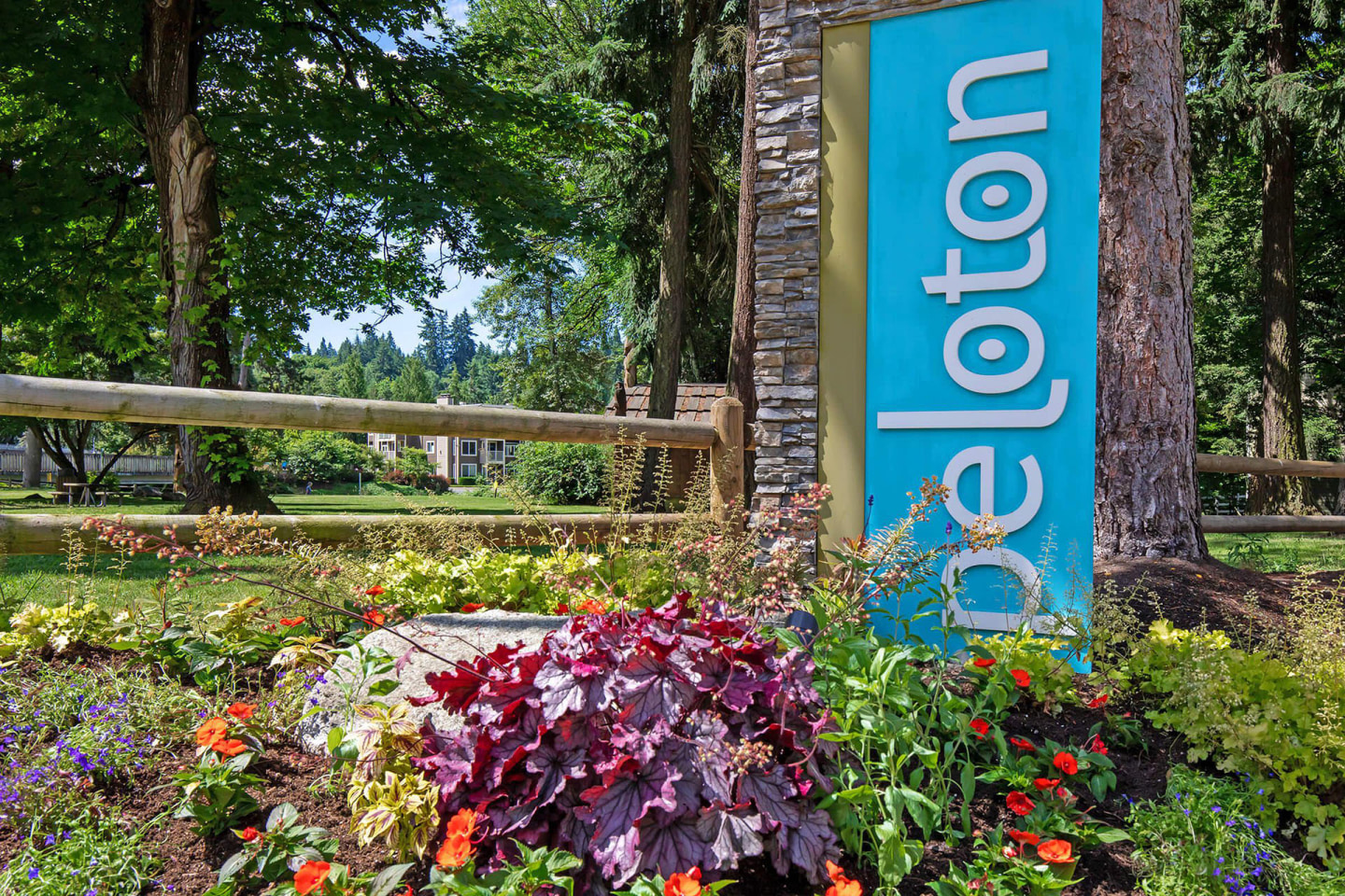 Peloton Image 1