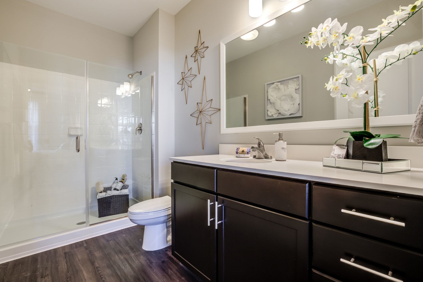 The Grove at Carolina Park Apartments Image 11