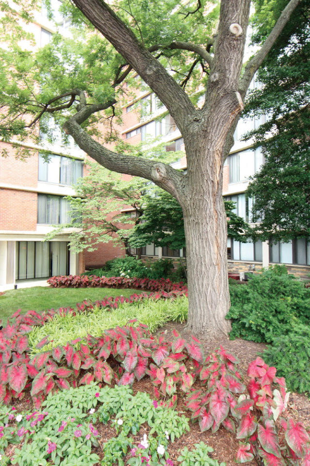 Calvert House Apartments Image 18