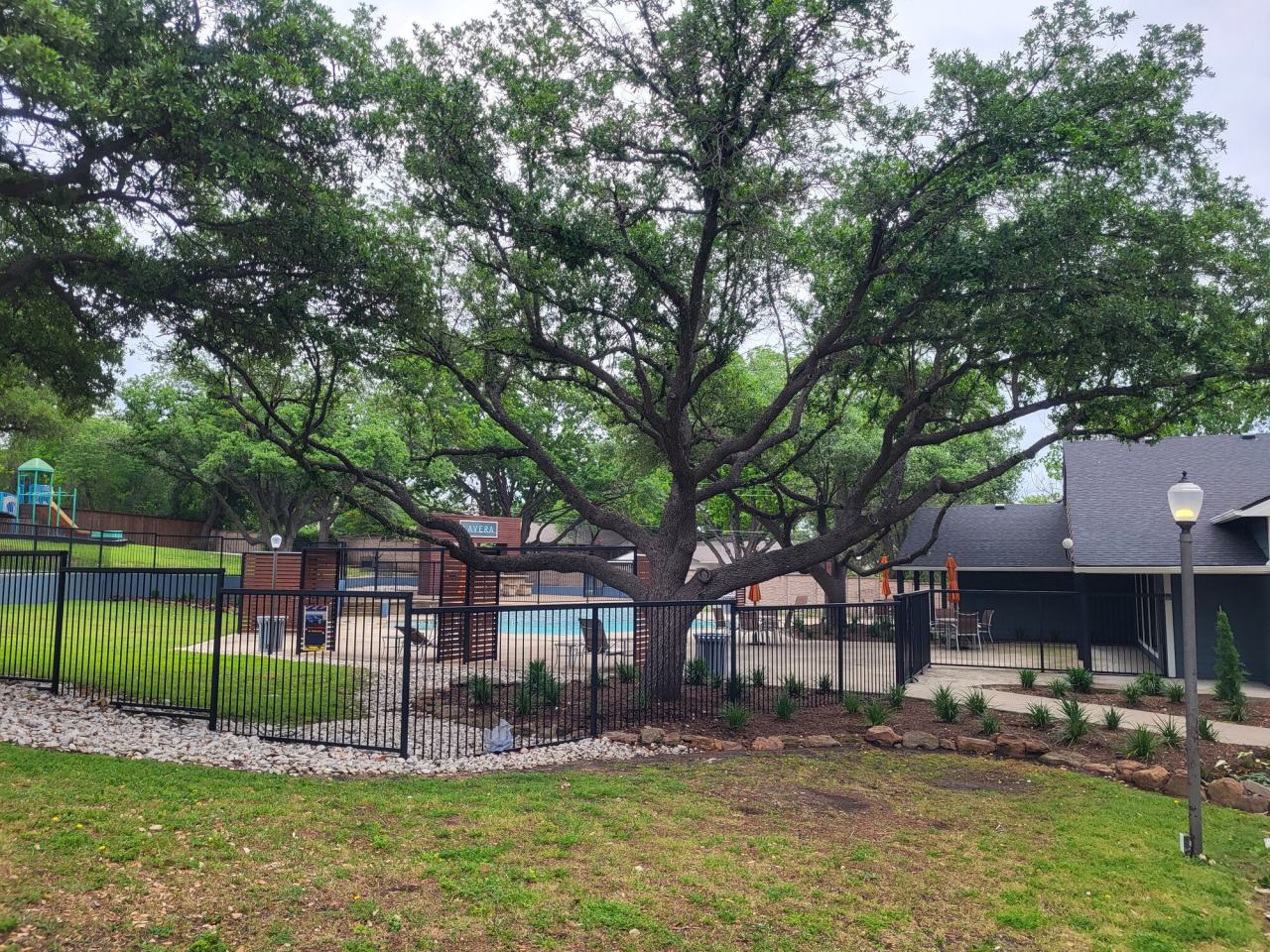 Lavera at Lake Highlands Image 4