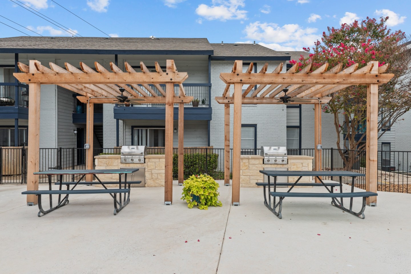 Peaks at Live Oak Image 9