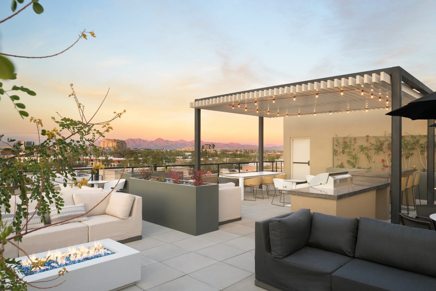 Scottsdale on Main Image 15