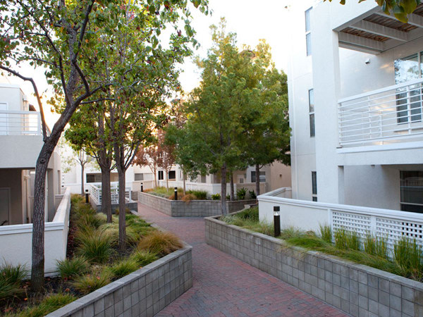 Cupertino City Center, A Prometheus Neighborhood Image 28