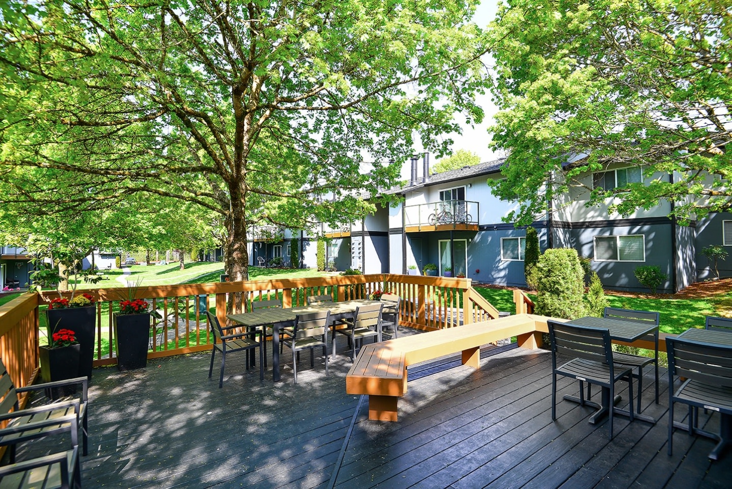 Tessera Apartments Image 33