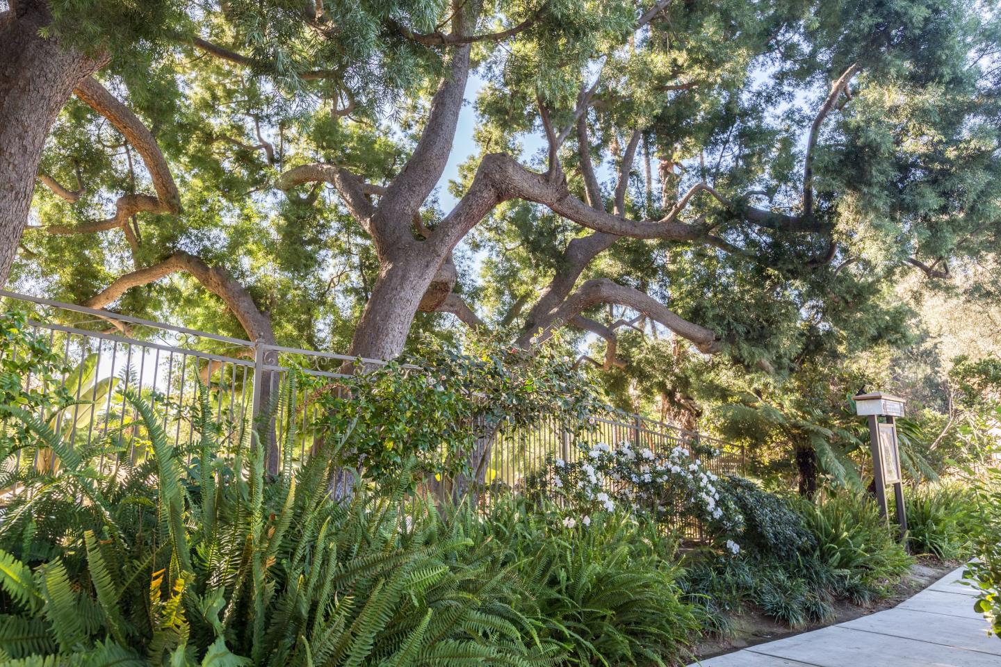 Orange Grove Circle Image 4