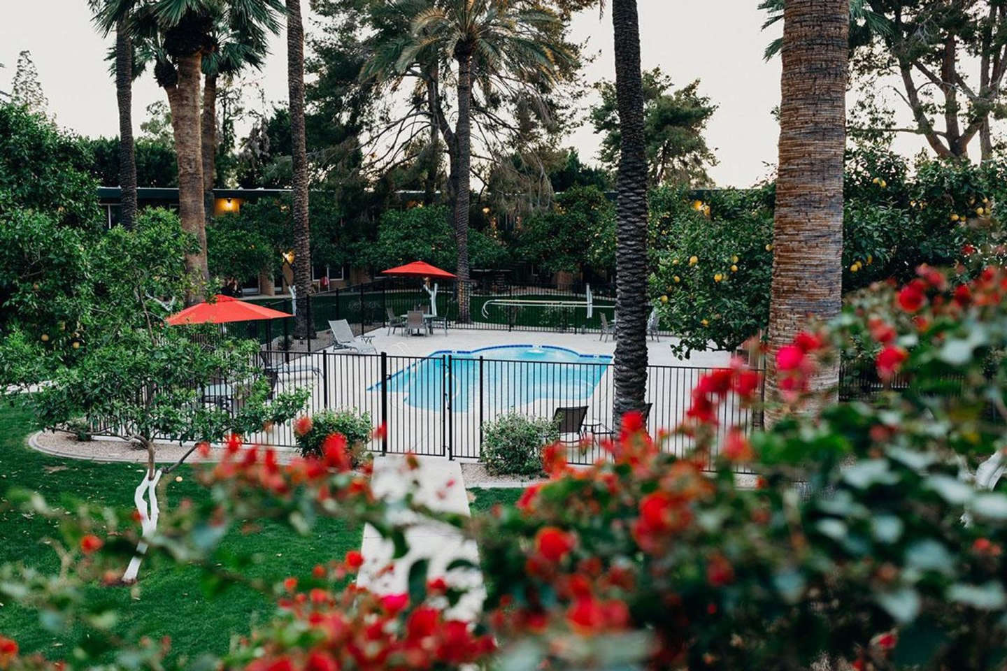 Oasis in the City Image 1