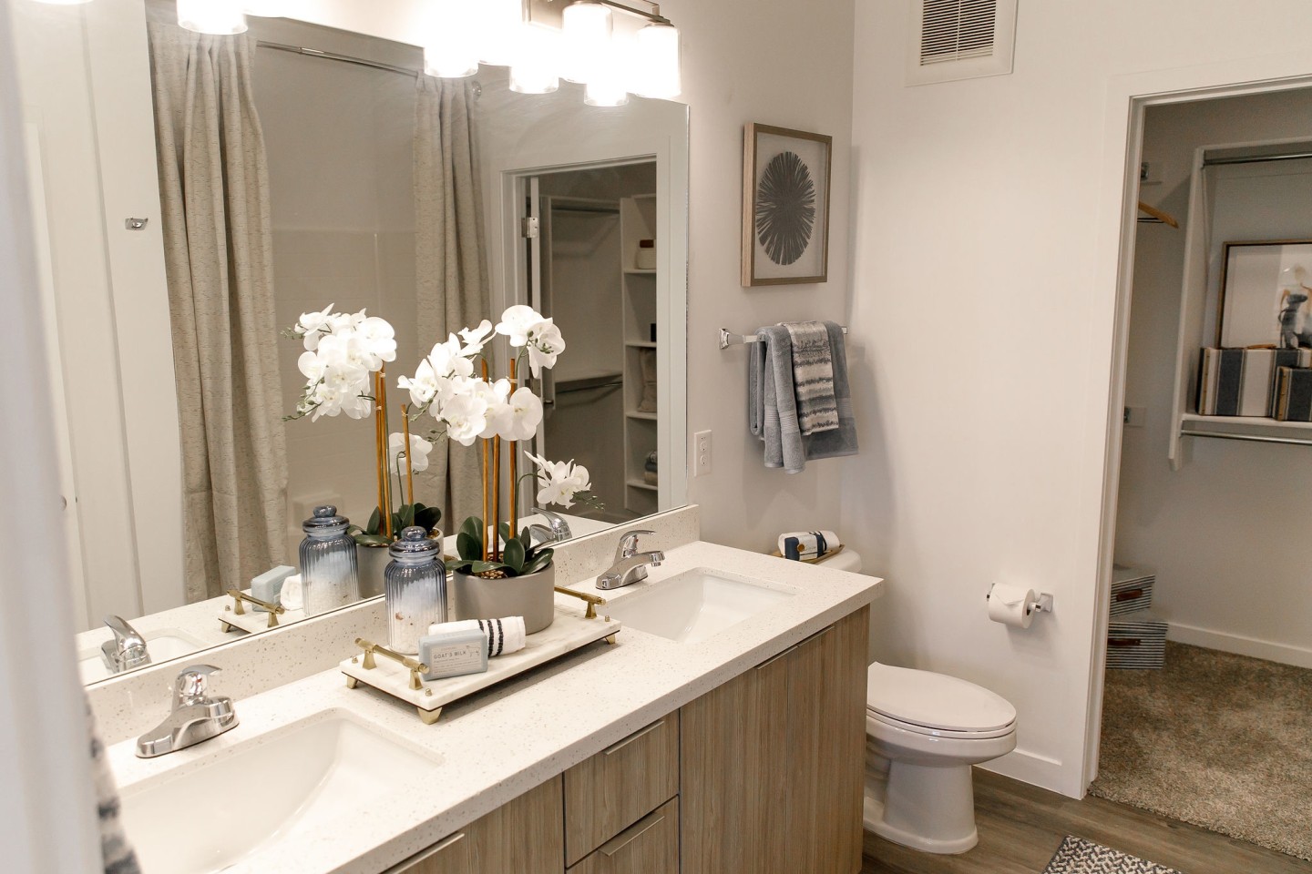 The Aster at Mountain Vista - BRAND NEW Image 17