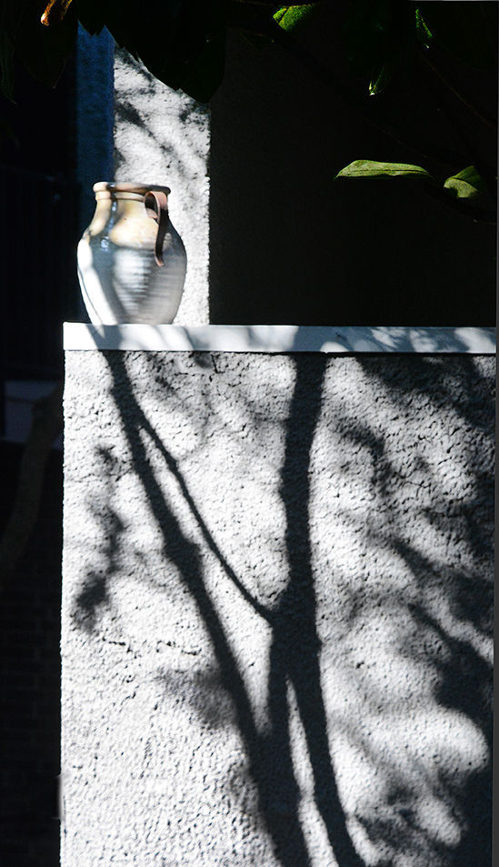 San Mateo Forest Apartments Image 27
