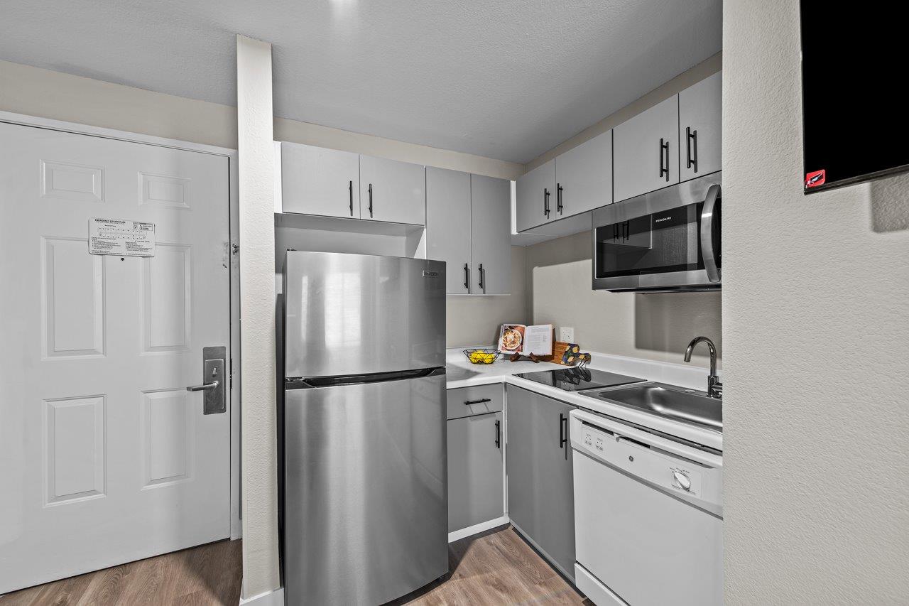 Studio Domain Image 1