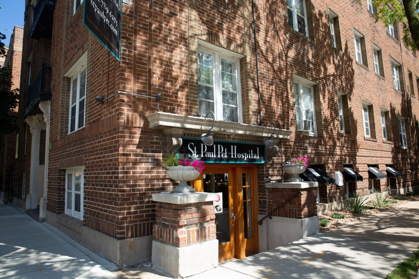 The Hill Image 39