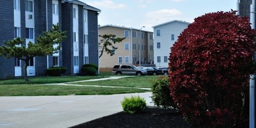 Carolina Village Image 13