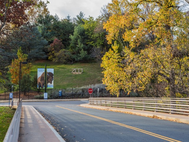 Harvard Village Image 82
