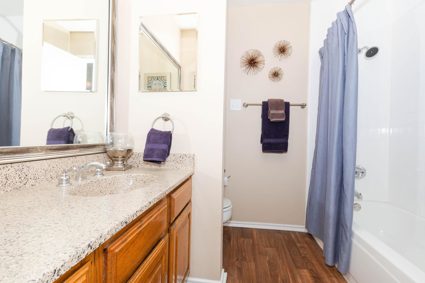 Plano Park Townhomes Image 29