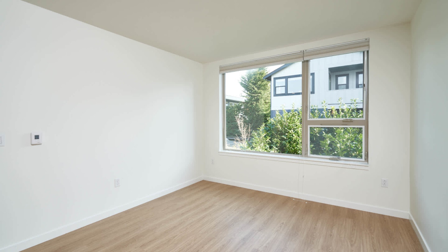 Springline Image 37