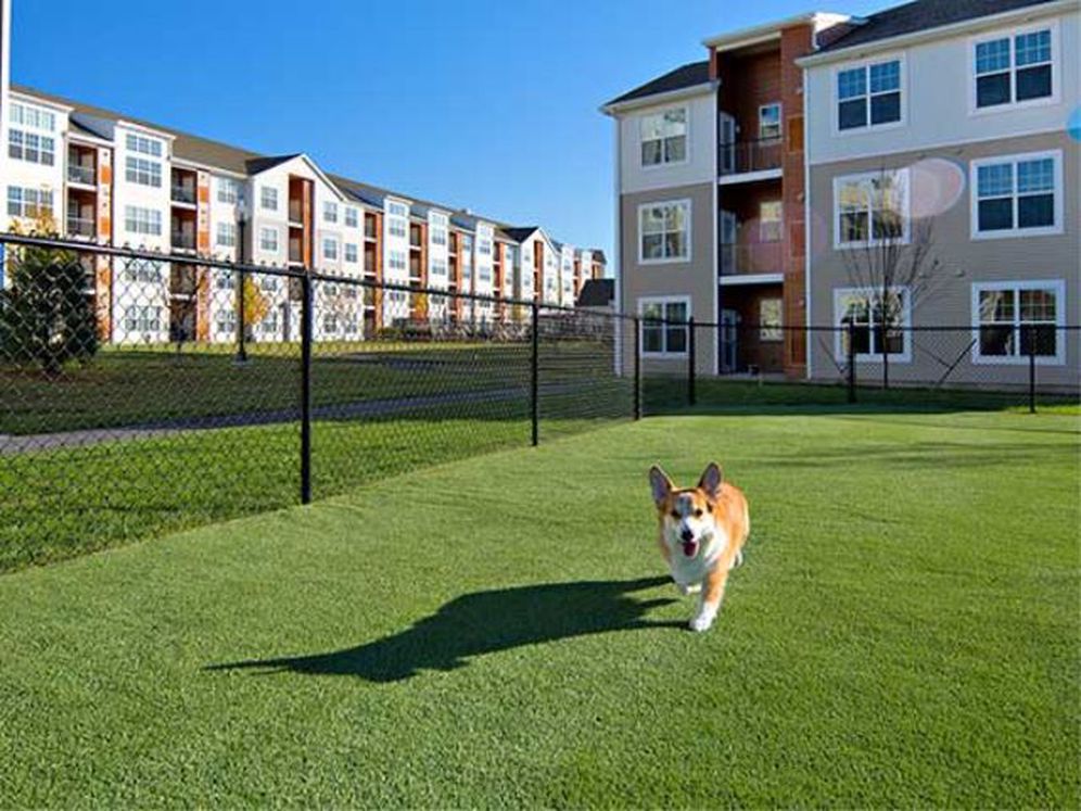 Avalon Marlborough Image 35