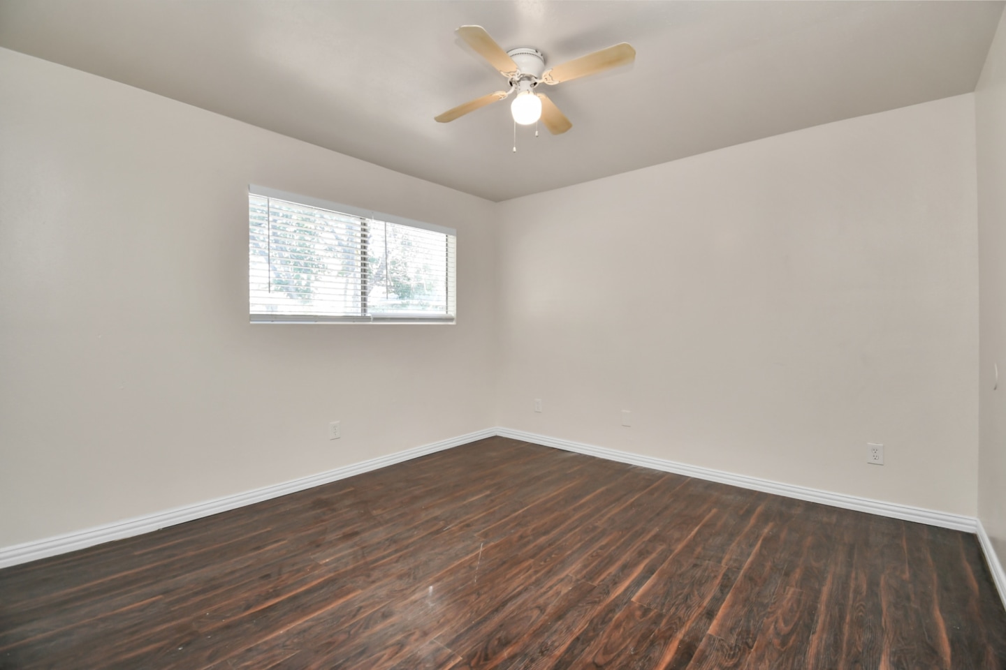 Phlox Duplexes Image 10