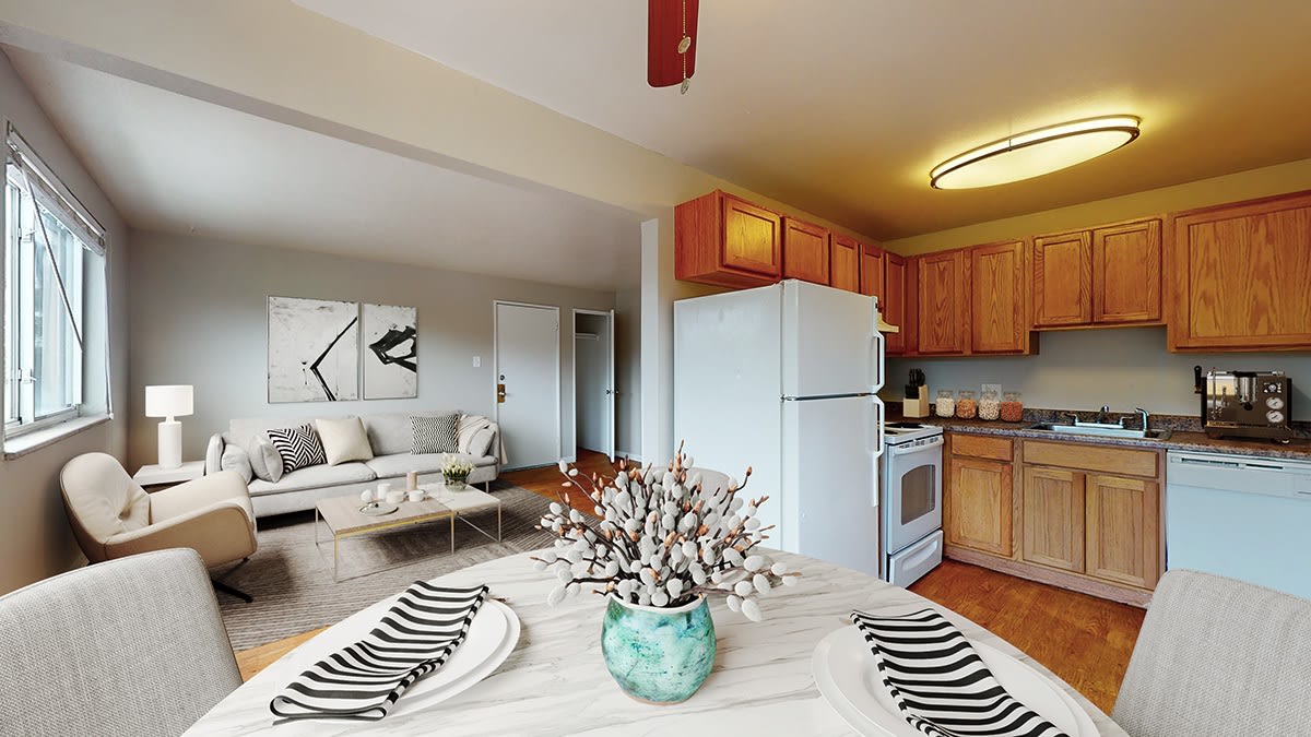 Scandia Image 4