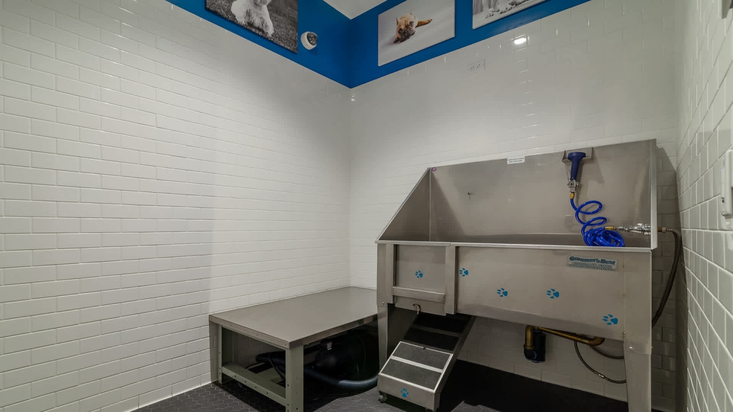 170 Amsterdam Image 44