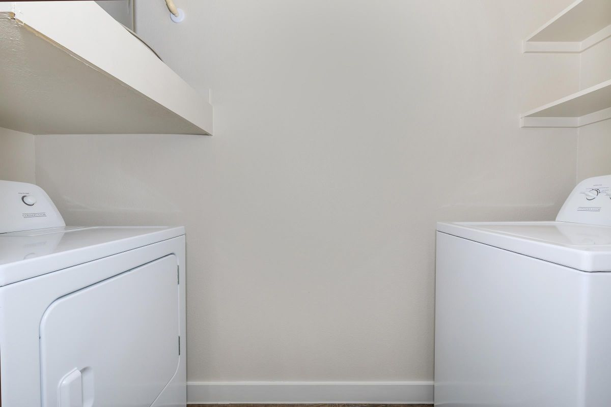 Luxia Rockwall Downes Image 22