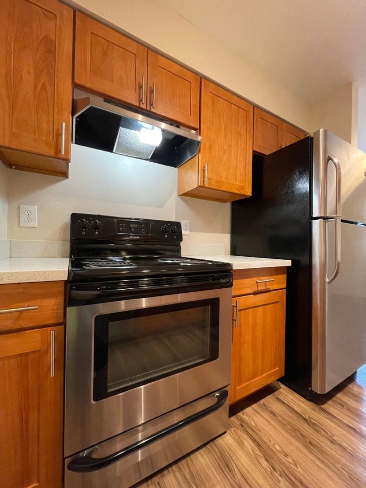 Alki 12 Apartments Image 1