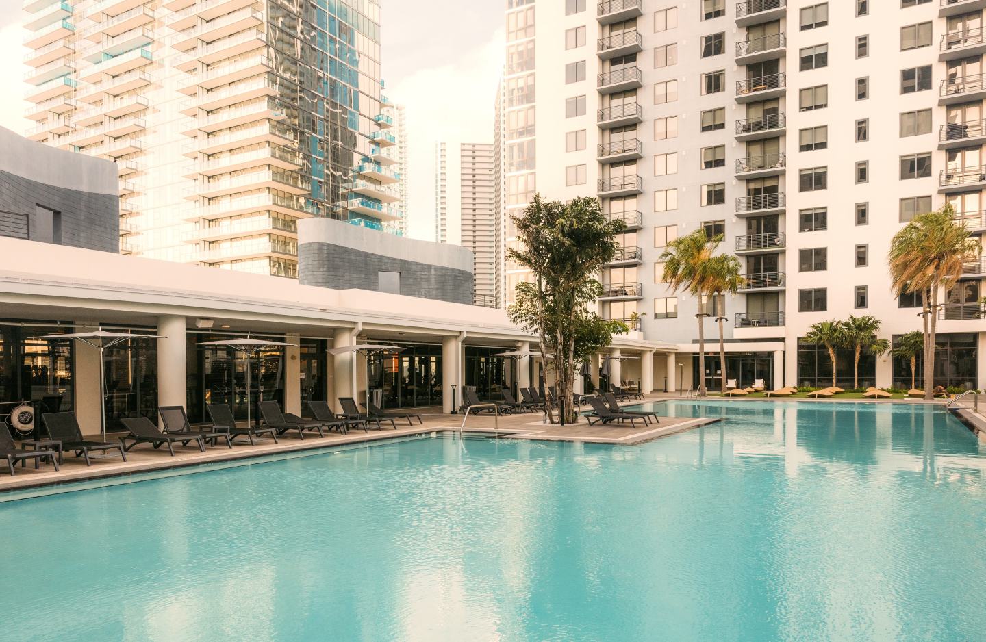 Flow Miami Image 15