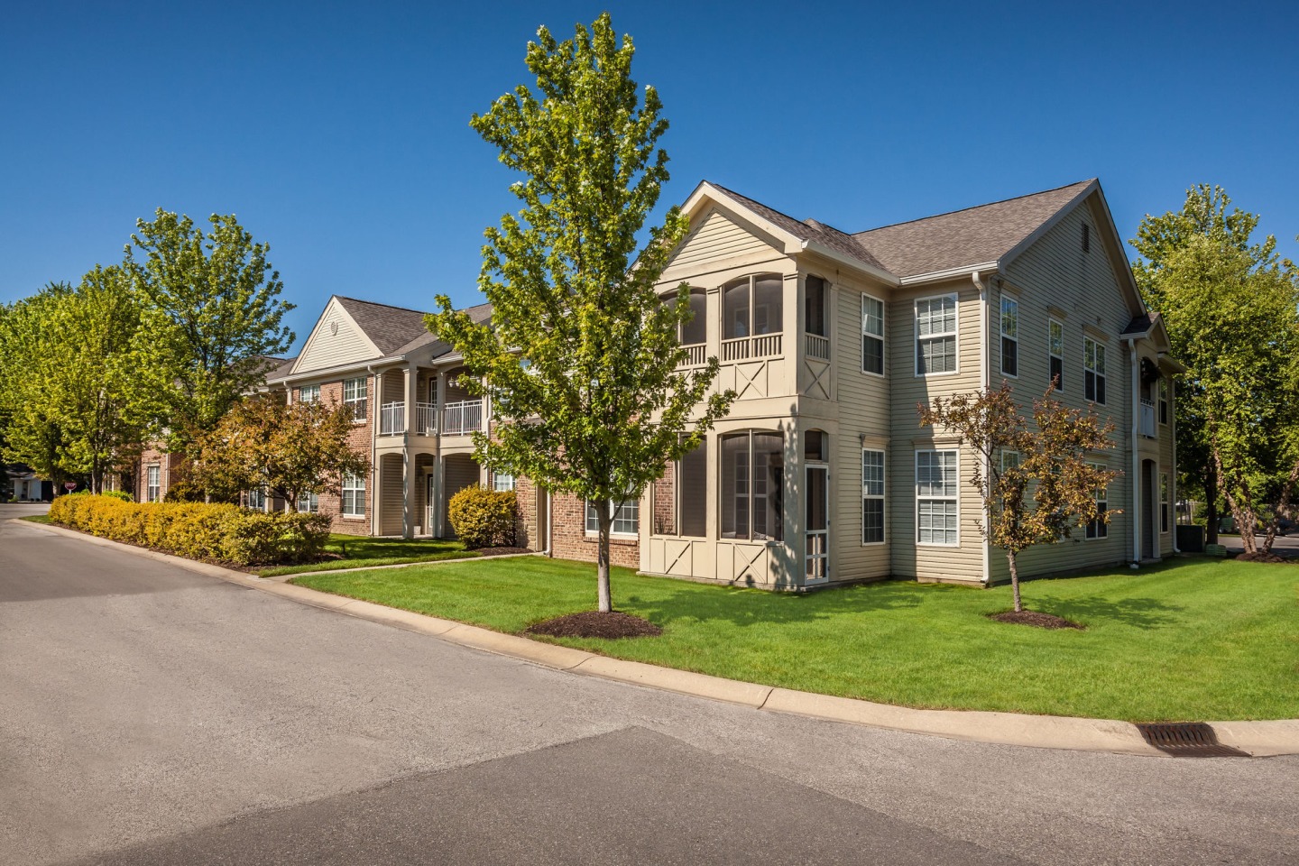 Linden Square Image 87
