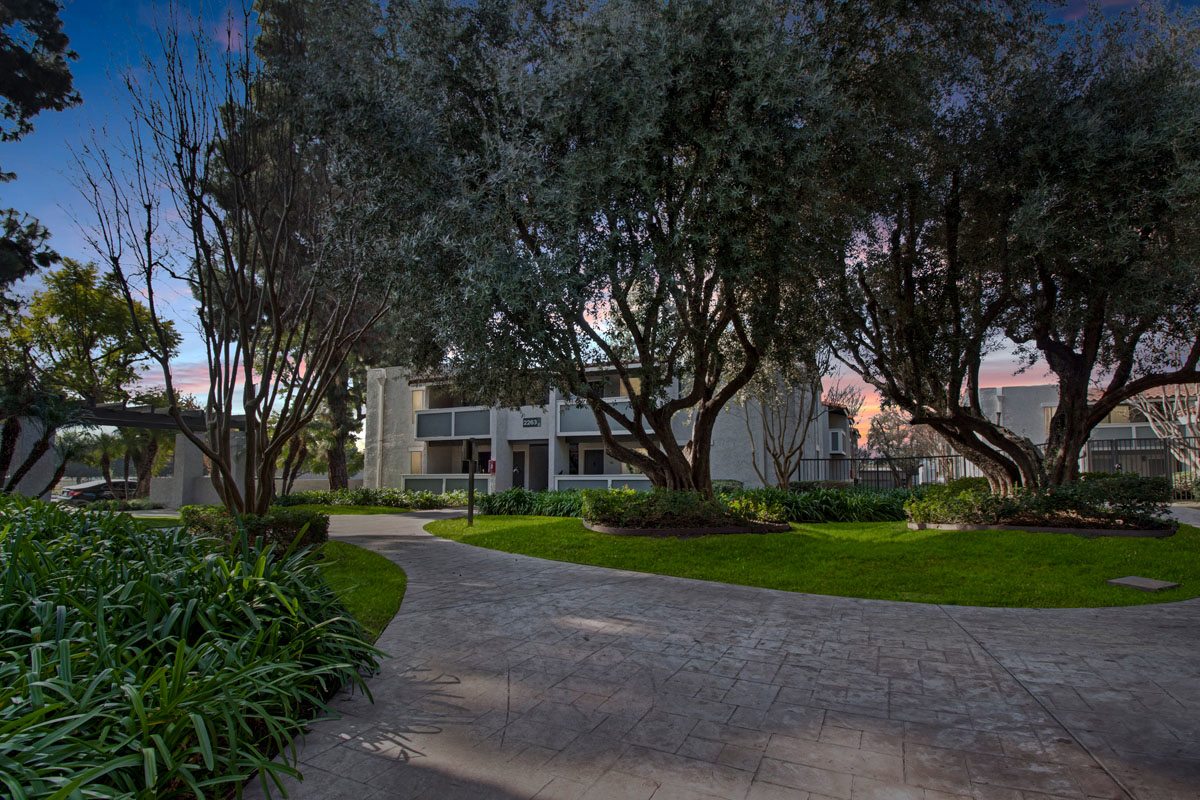 Olive Ridge Apartments Image 35