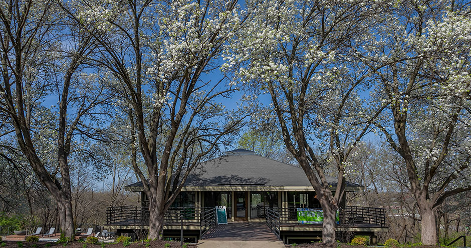 Woodview Image 43