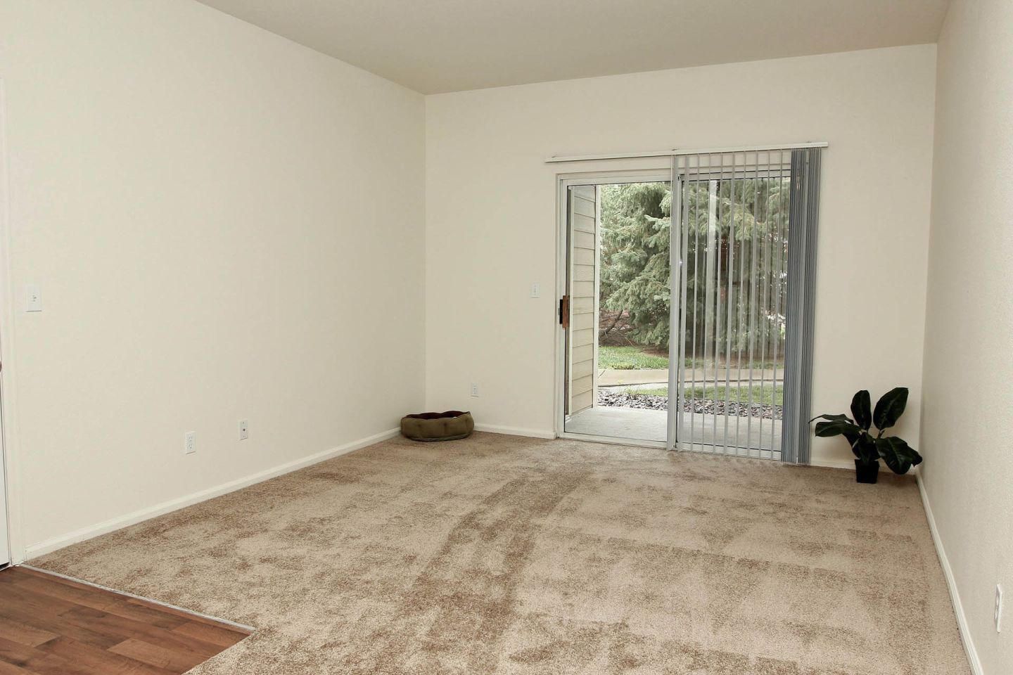 Traditions Denver-Affordable Housing Image 18