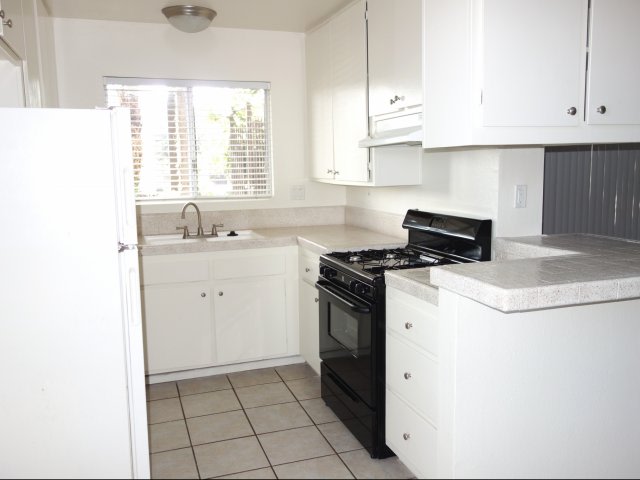 Elan Pacific Palms Image 12